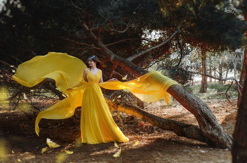 ЖЕЛТАЯ ПТИЧКА фото превью