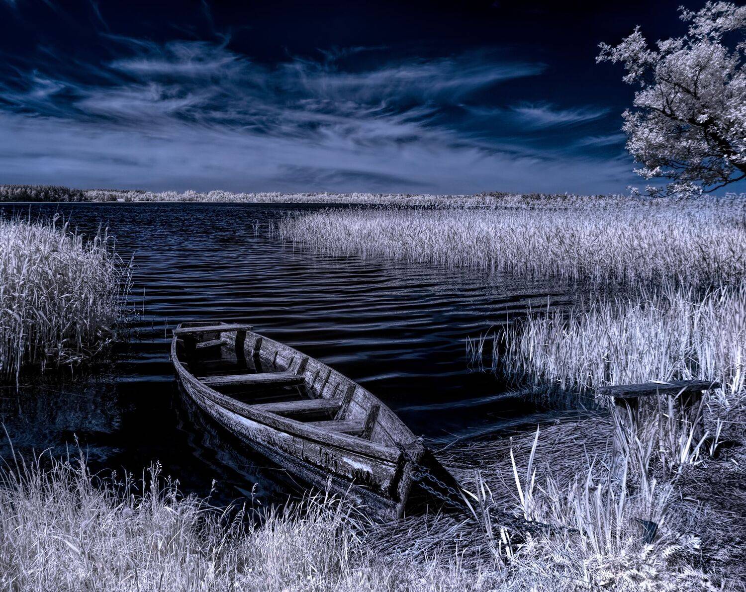 infrared,ик-фото,инфракрасное фото, инфракрасная фотография, пейзаж, лето,  Sixten (Сергей)