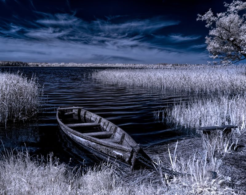 Не уплыть. фото превью