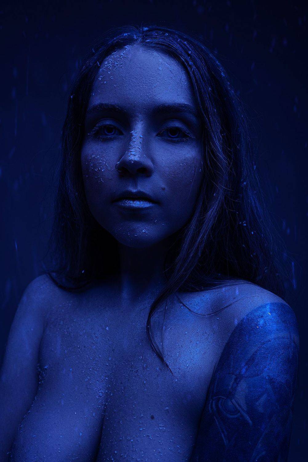 снег, иней, замерзшая, мороз, холод, Andrew Fire