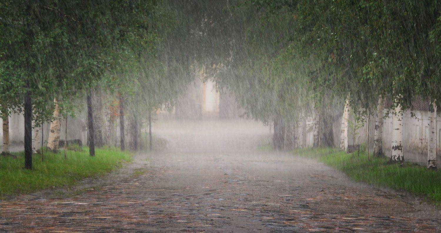 кириллов, дождь, Сергей Кочергин