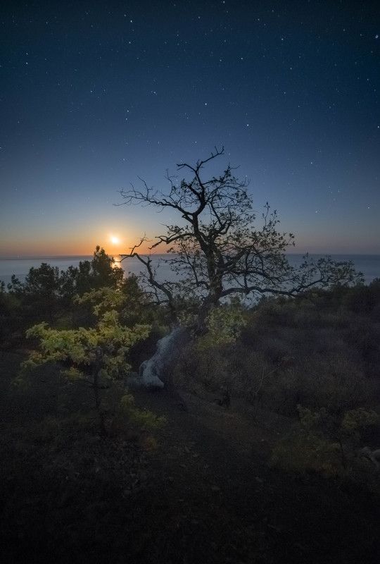 Восход луны фото превью