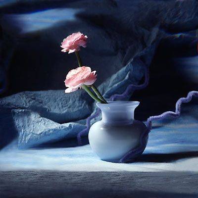 цветы, натюрморт, синийфон, Бекетова Ольга