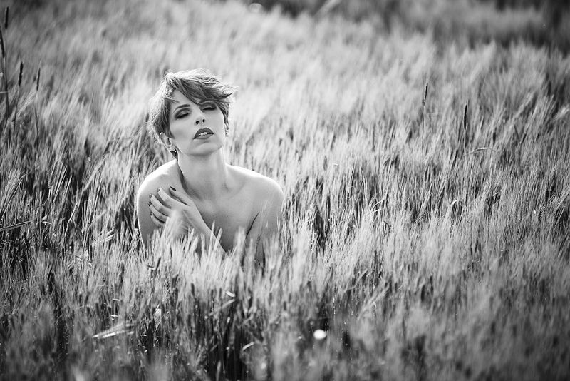 A фото превью