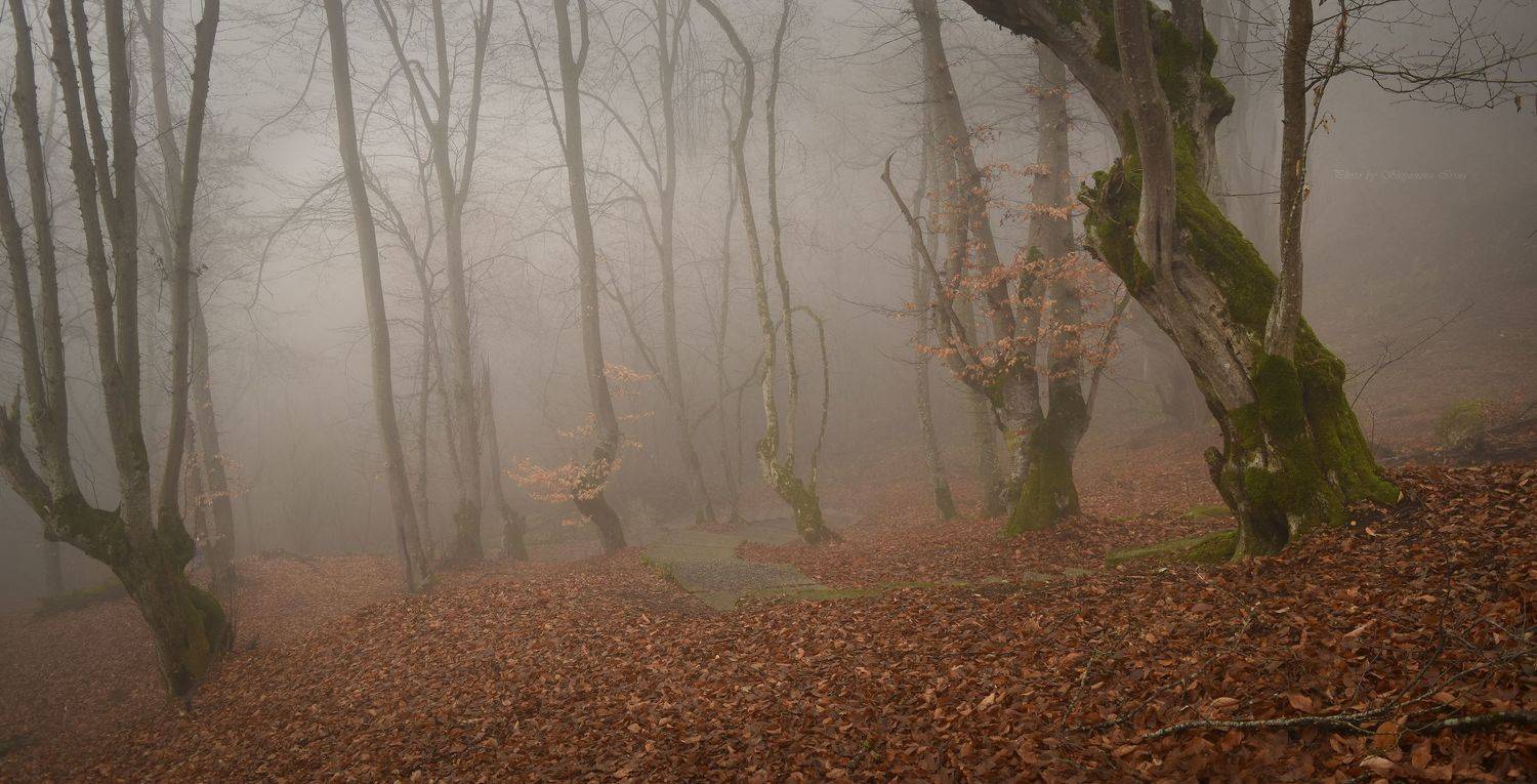 туман, кбр, кизиловка, панорама, Шипунова Ирина