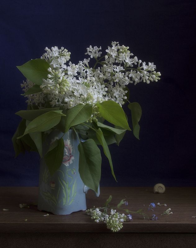 Ах, эта белая сирень! фото превью