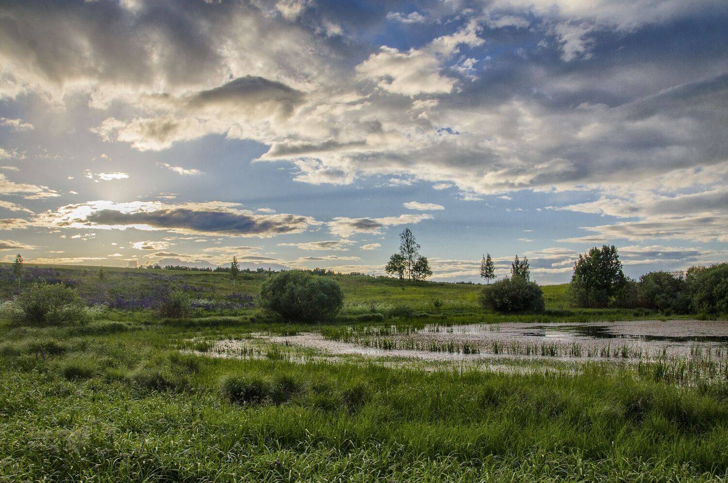 nevant60, пейзаж, красота, природа, Александр Березуцкий