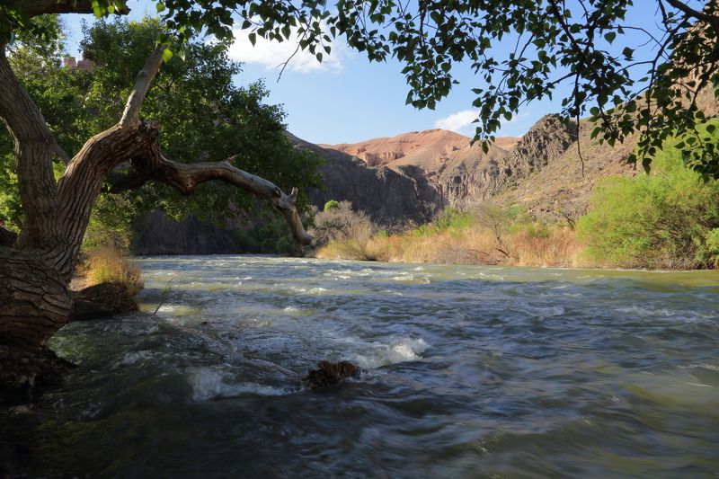 Весенний Чарын  в \