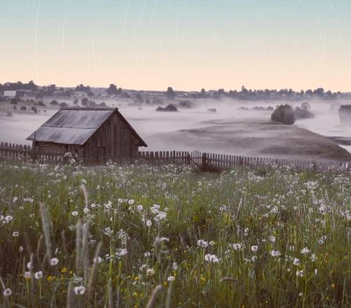 Летние туманы