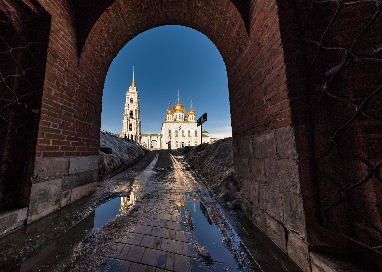 , Алексей Горохов