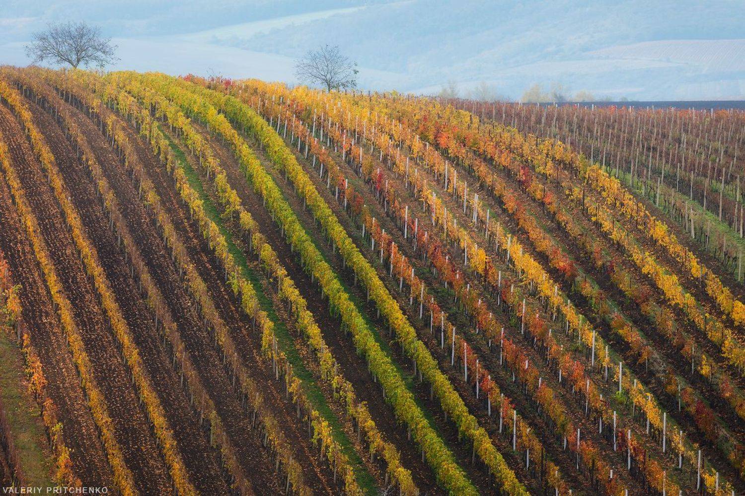 чехия, моравия, южная моравия, пейзаж, south moravia, moravia, czech republic, Валерий Притченко