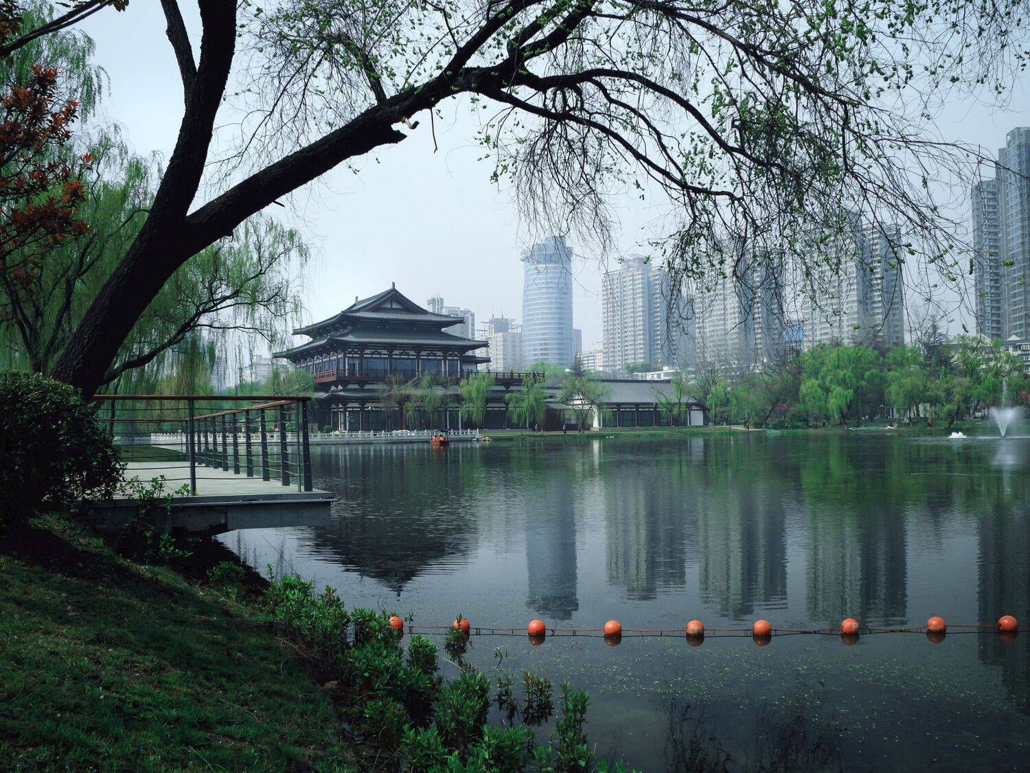 兴庆宫  兴庆湖  春柳, 吴 微雨墨烟鸿