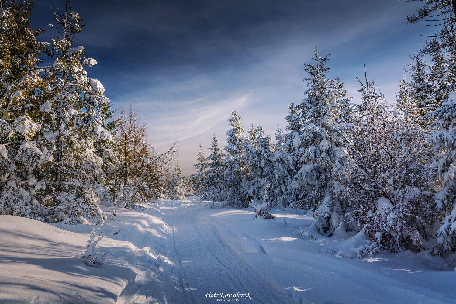 polska, zima, Kowalczyk Piotr