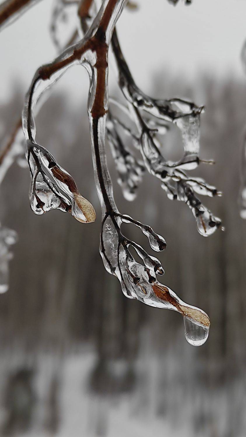, Андрей Перешеин