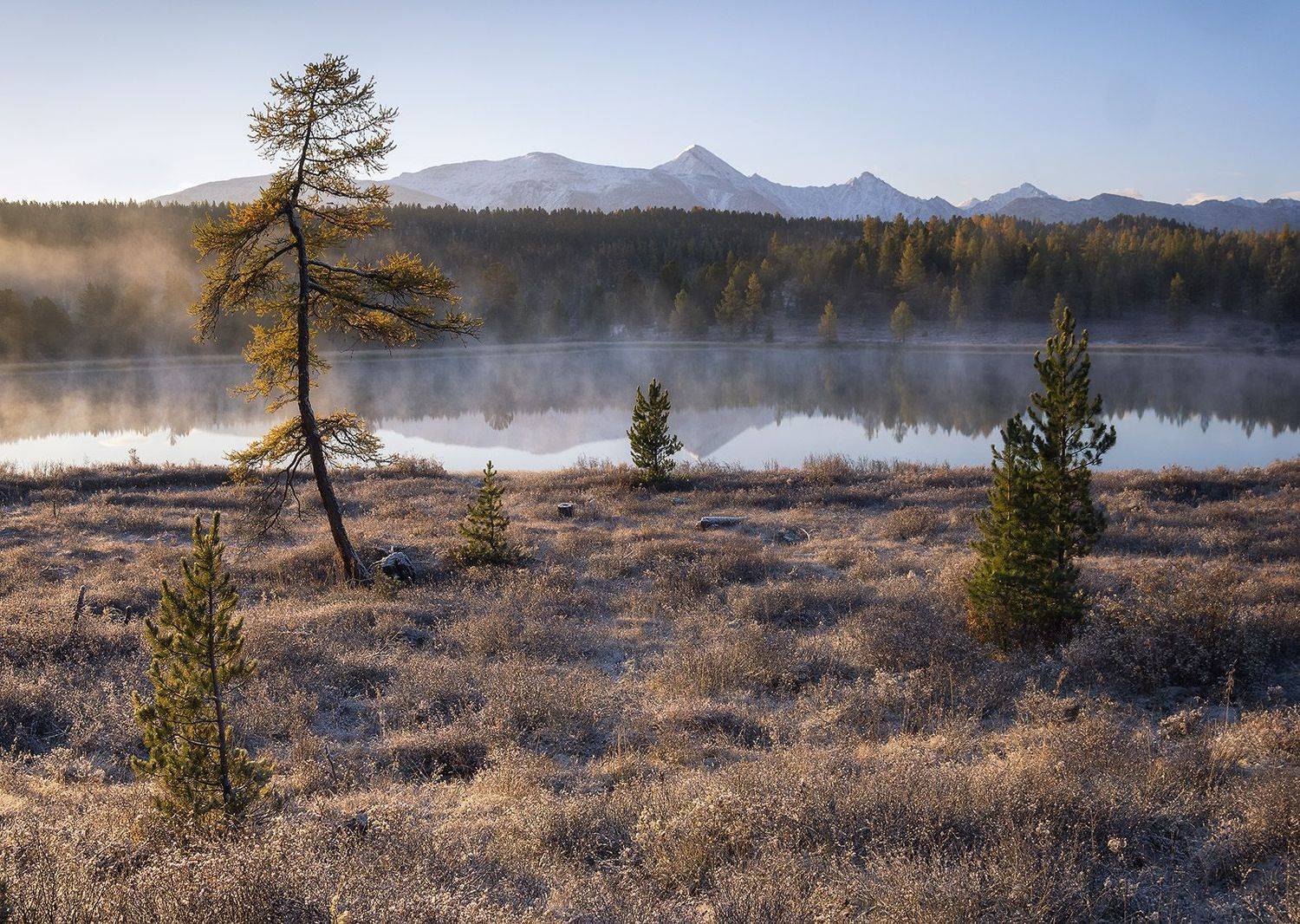 , Лещёнок Александр