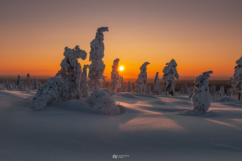 якутия, зима, закат, снег, деревья, лес, тайга, дальний восток, сибирь, мороз Стражи зимы фото превью