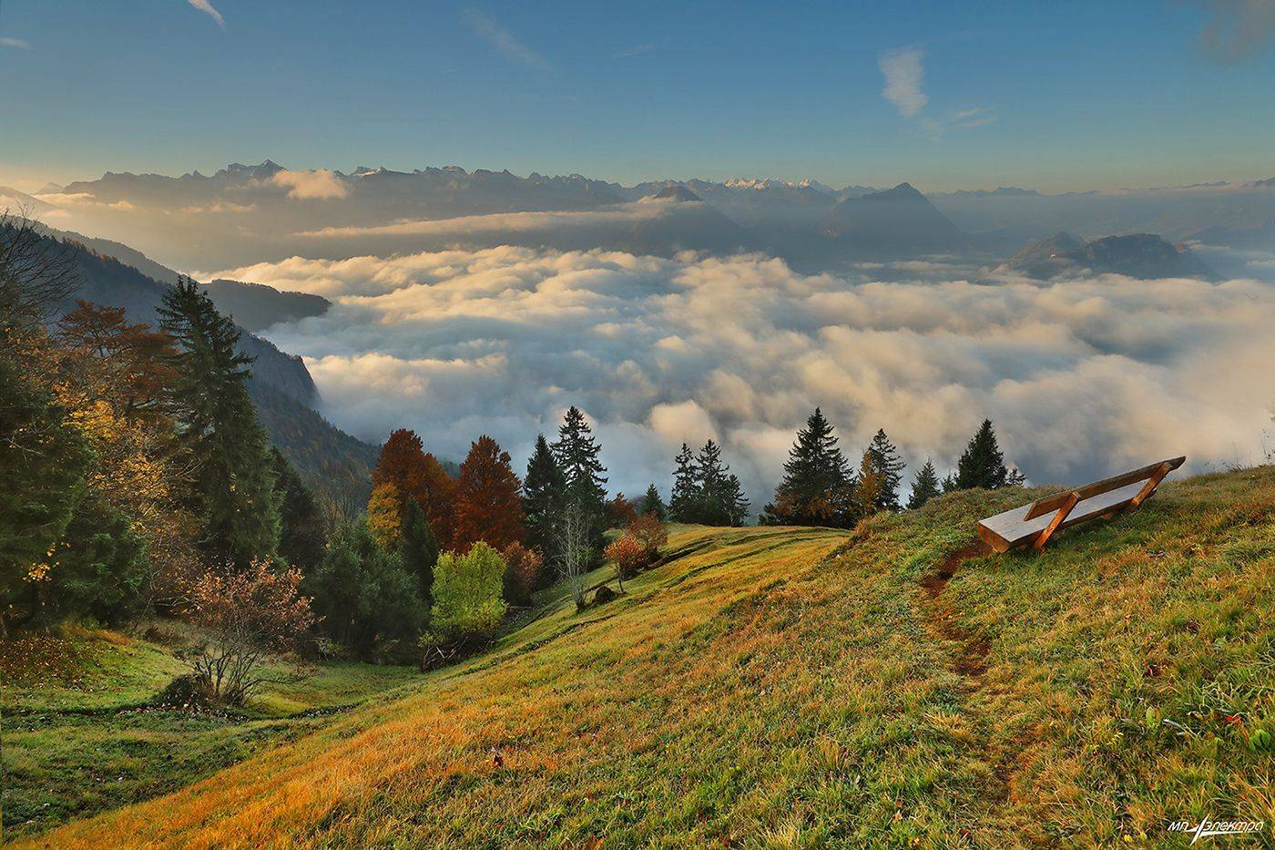 swiss, Матвеев Николай