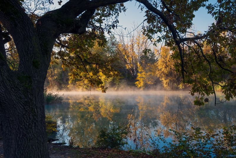 Пейзаж с туманом фото превью