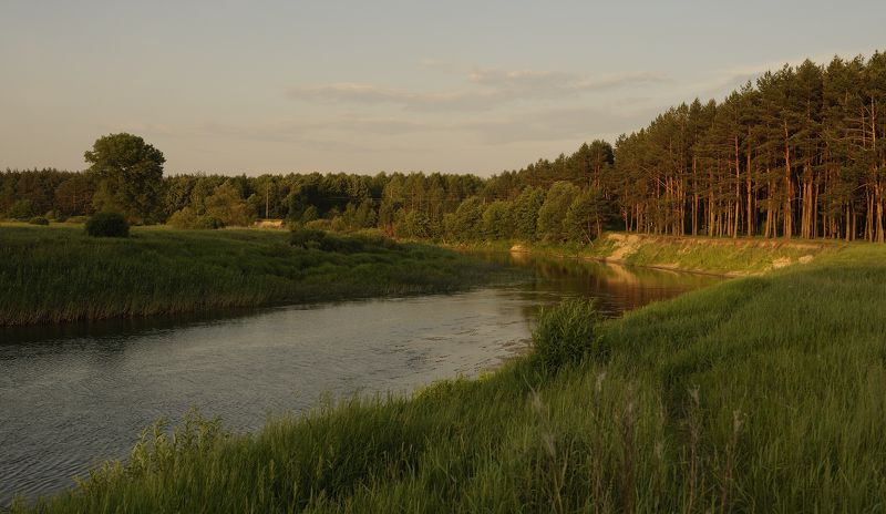 Река Сейм близ хутора Серебряный... фото превью