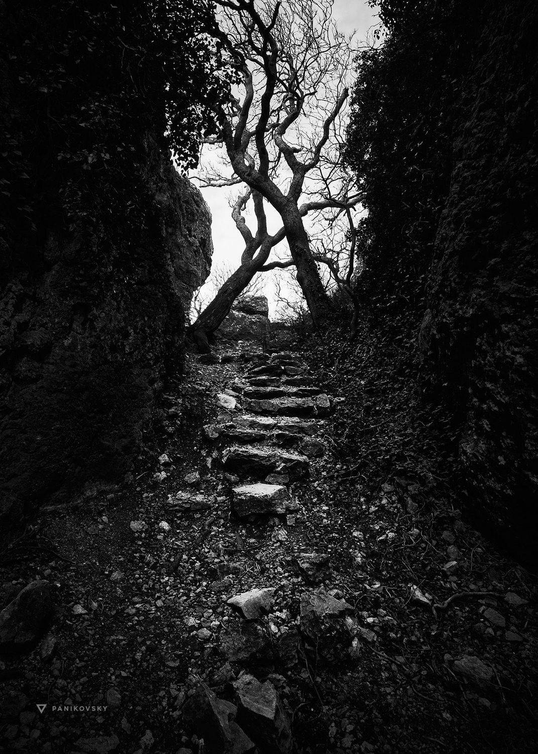 Крым, пейзаж, тропа, скалы, Паниковский Виктор