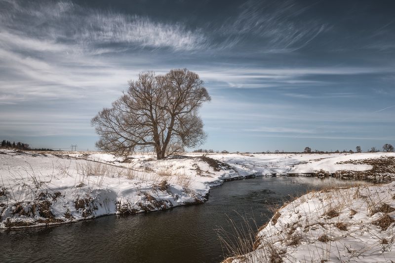 Весне дорогу! фото превью