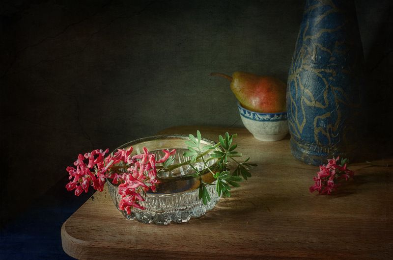 Первые весенние цветы. Хохлатка. фото превью