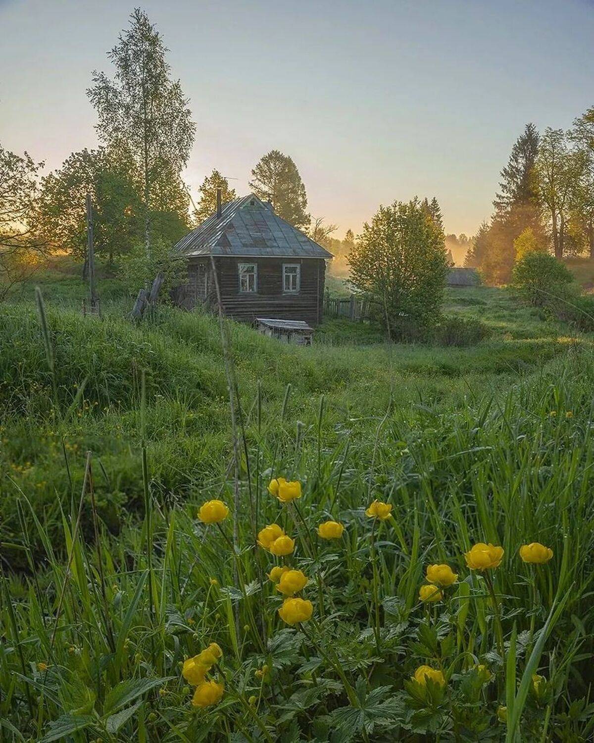 , Петр Косых