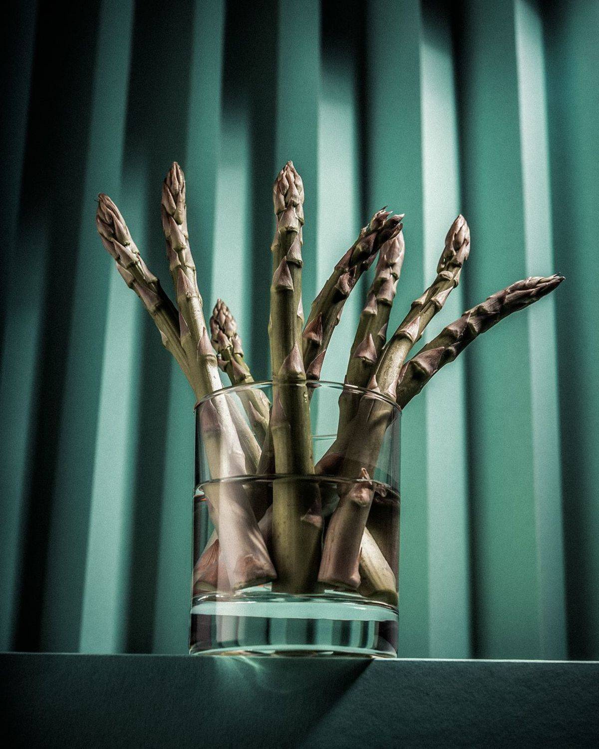 натюрморт, still life, asparagus, cпаржа, Nilovs Konstantins