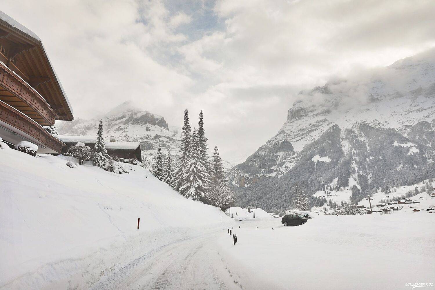 swiss, Матвеев Николай