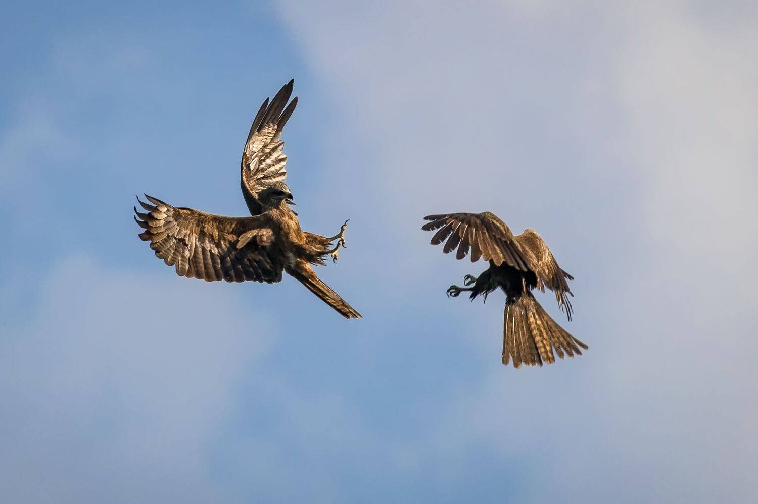 , Глебов Сергей