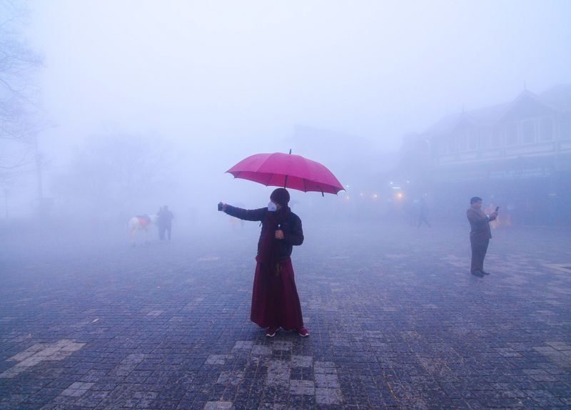 lama, selfie, umbrella, winter, fog, foggy, morning, colourful Lama taking selfie фото превью