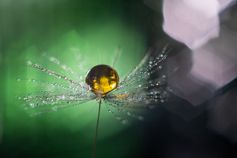 Желтая фото превью