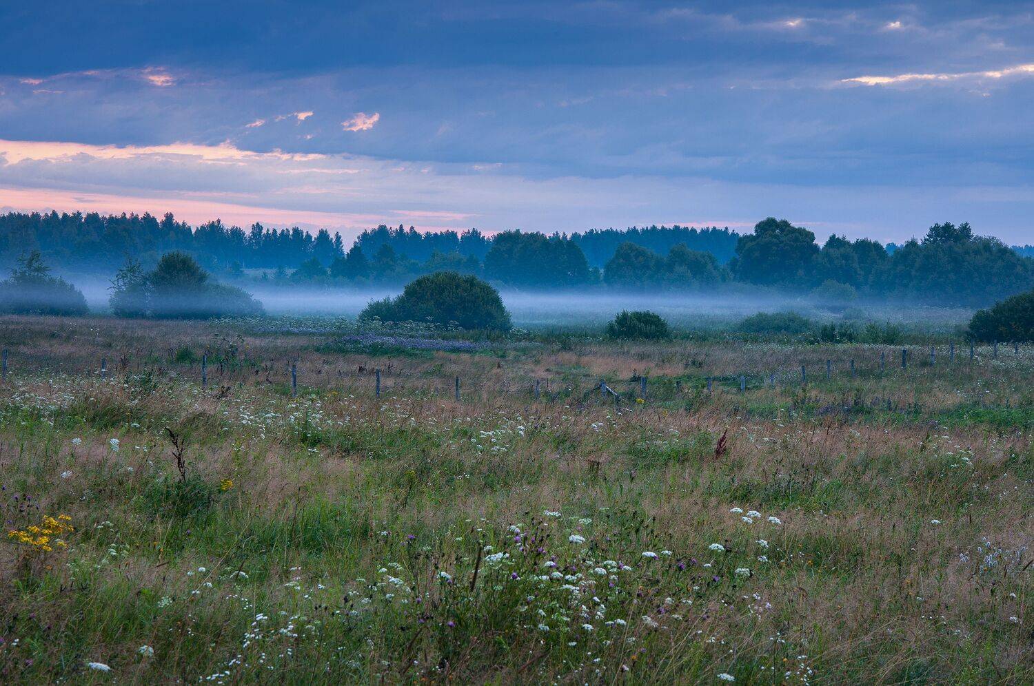 природа, пейзаж, туман, рассвет, лето, Павел Ныриков