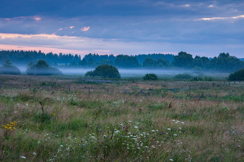 природа, пейзаж, туман, рассвет, лето Хмурый рассвет фото превью