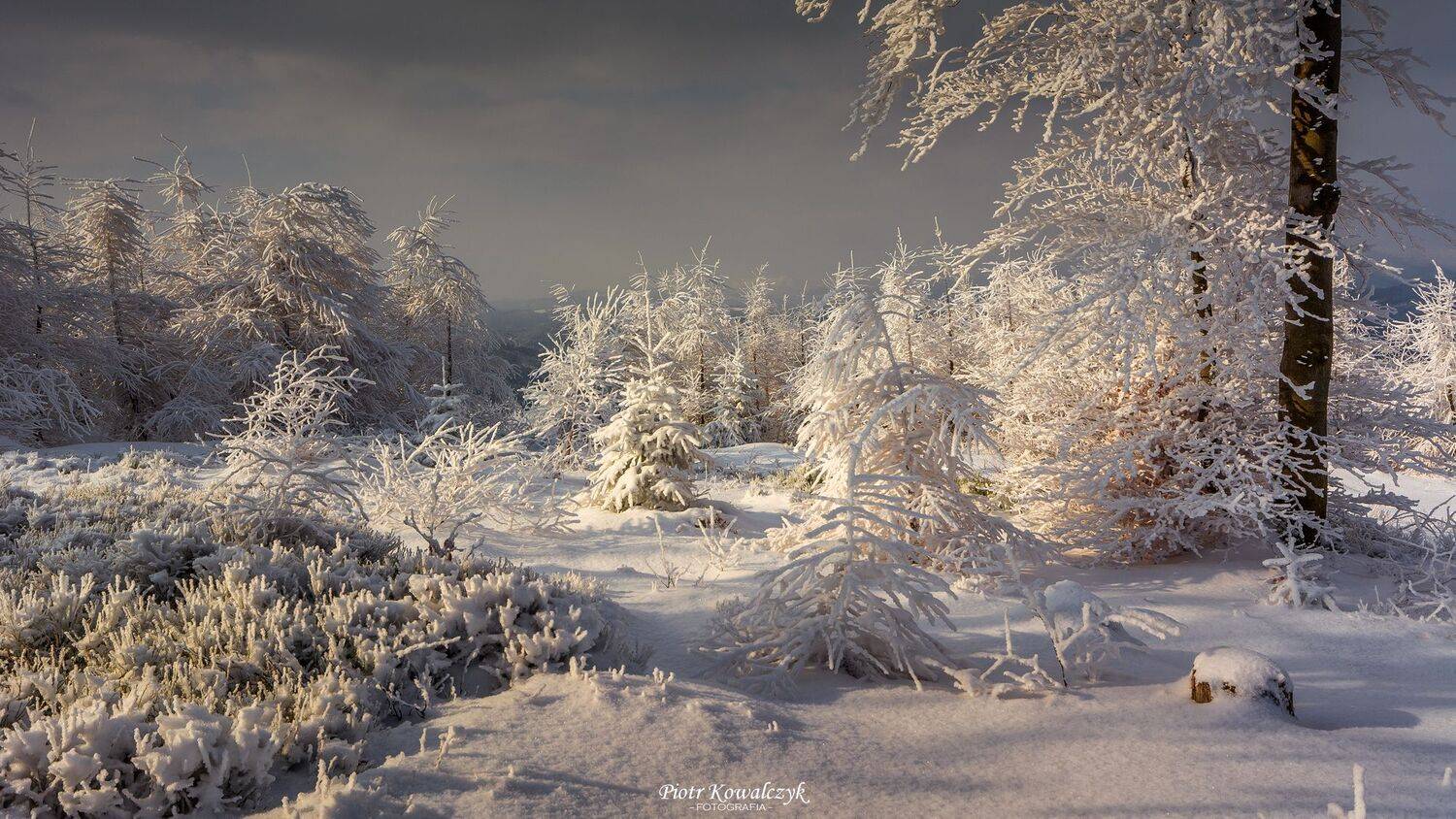 polska, zima, Kowalczyk Piotr