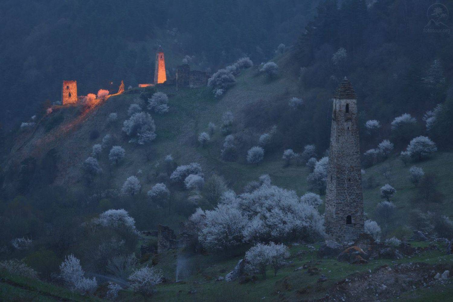 ингушетия, Анатолий Гордиенко