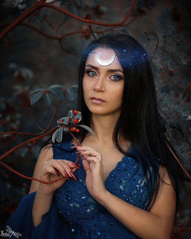 FAIRY NIGHT  фото превью