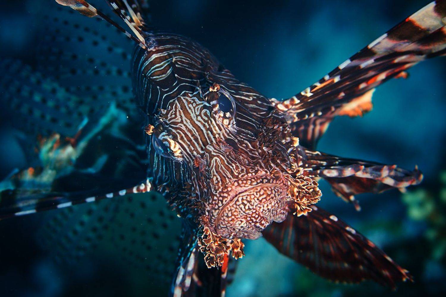 , Юрий Журавлев