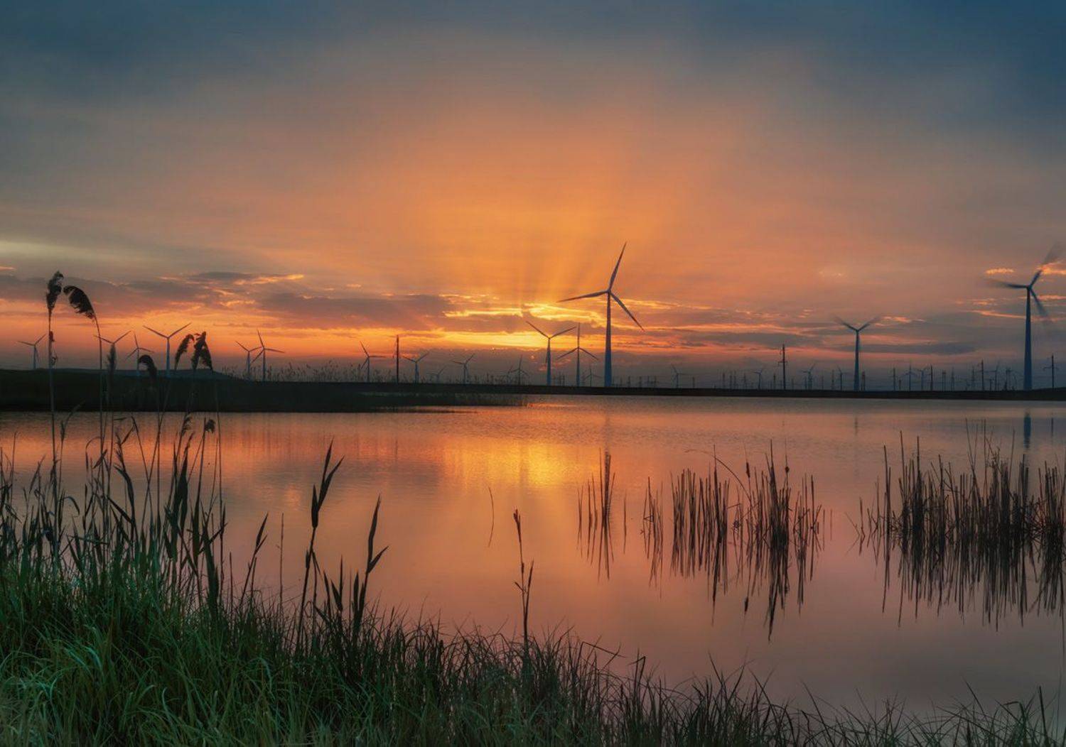 рассвет, природа, вэс, ставрополье, пейзаж,, Алиева Татьяна