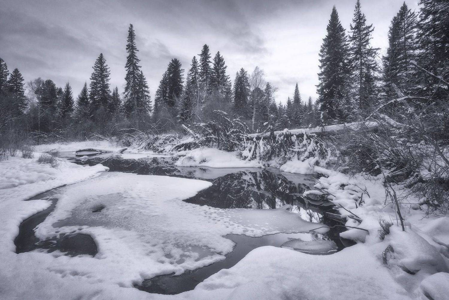 , Марина Огнева