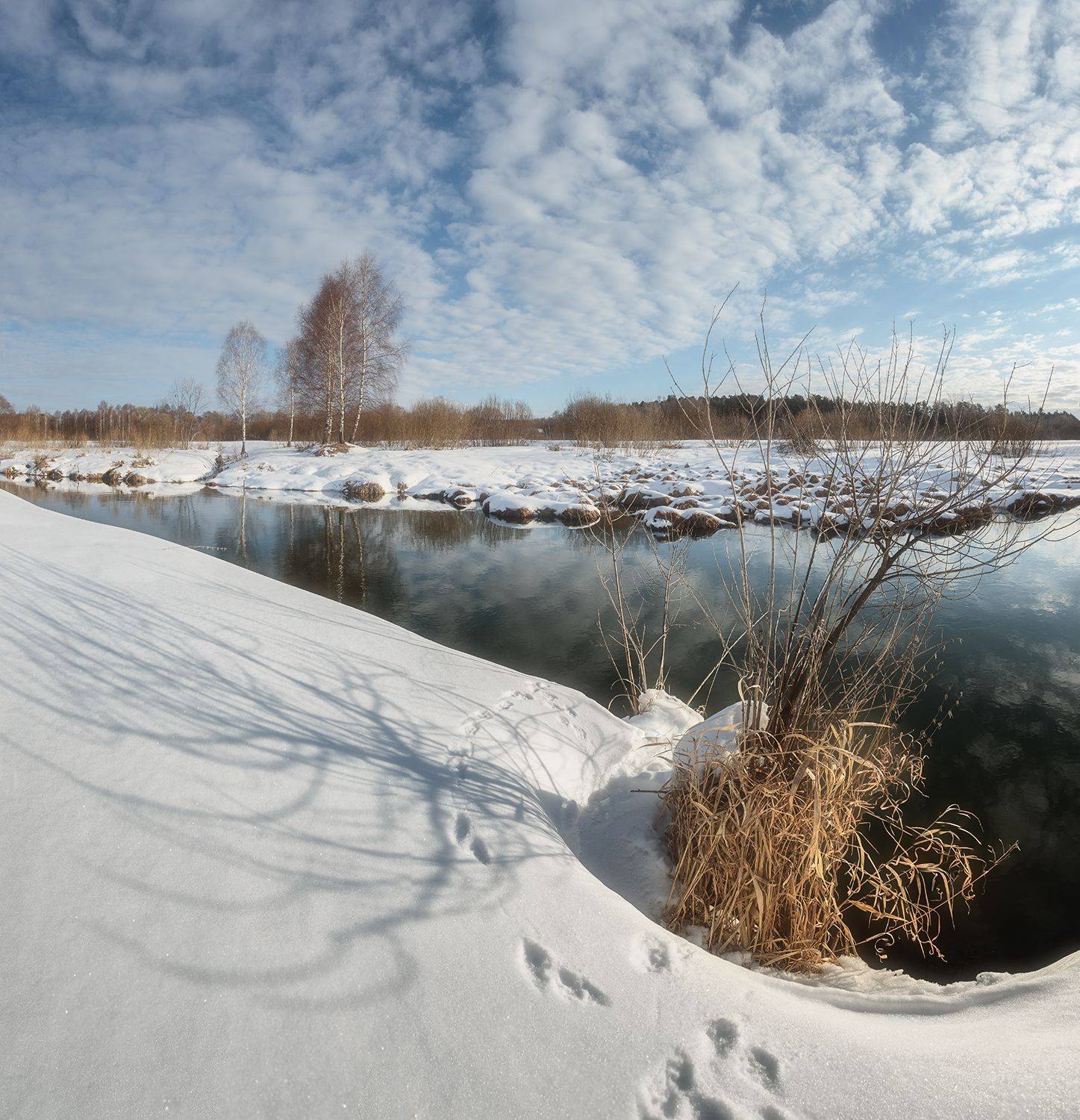 , Николай Андреев