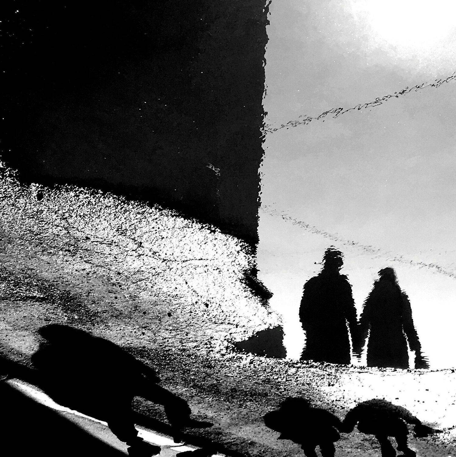 , Антон Лаба