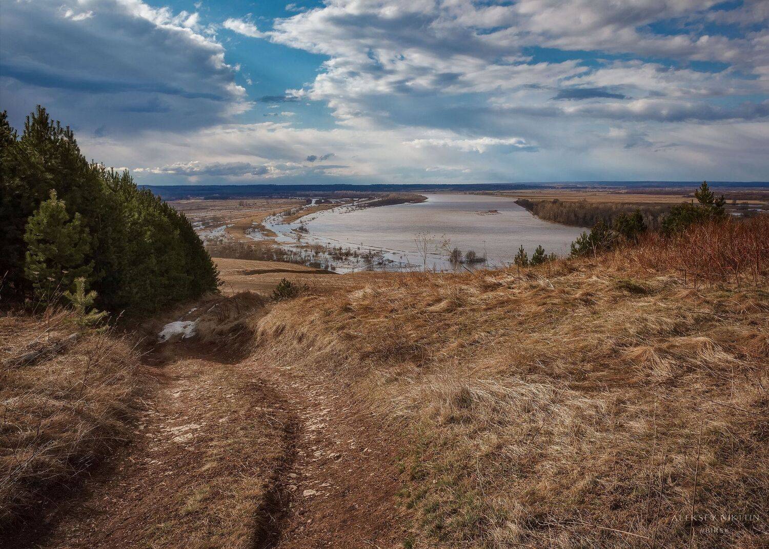 , Никитин Алексей