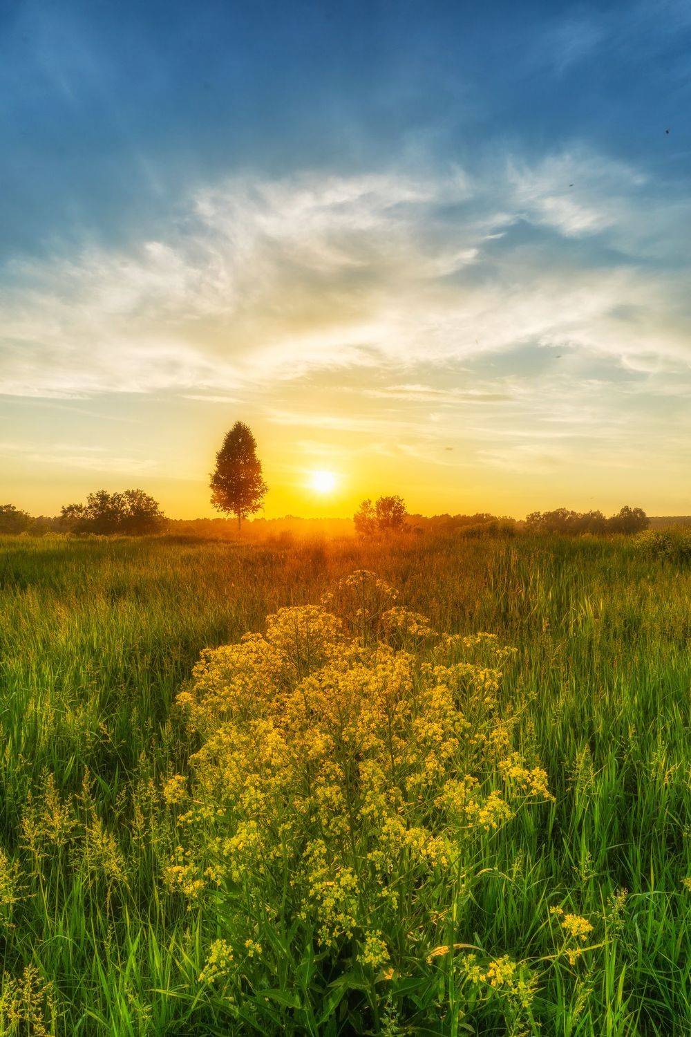 , Нигматуллин Руслан