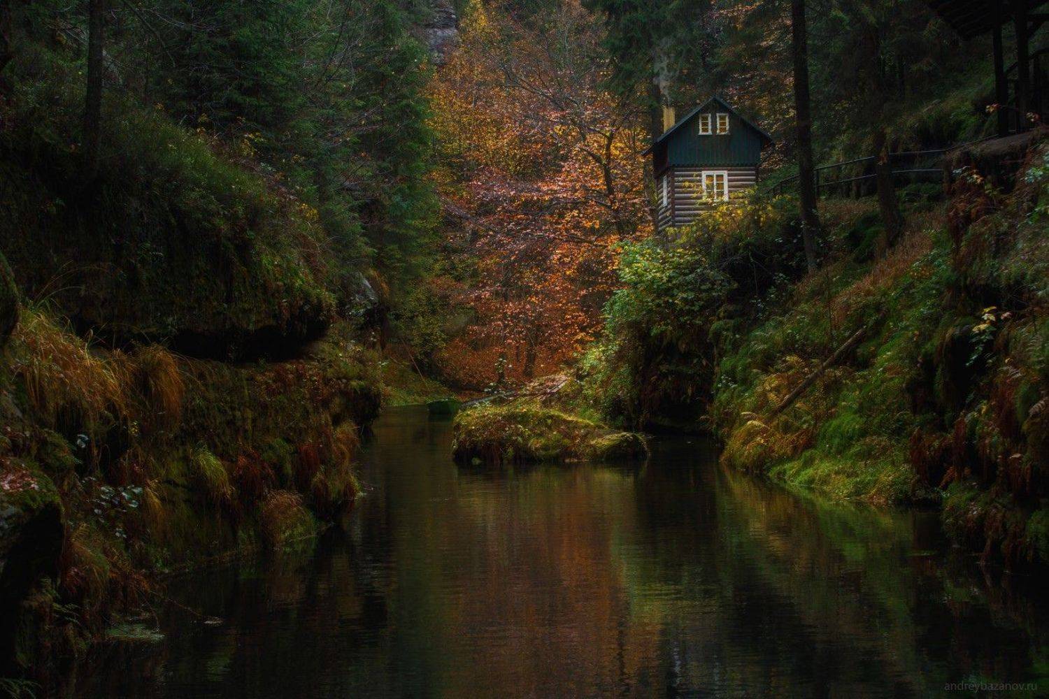 , Андрей Базанов