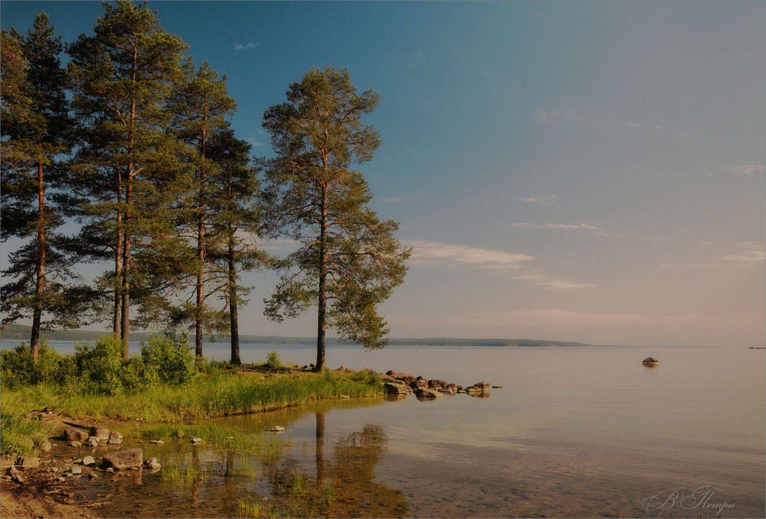 озеро сосны камень, Вера Петри