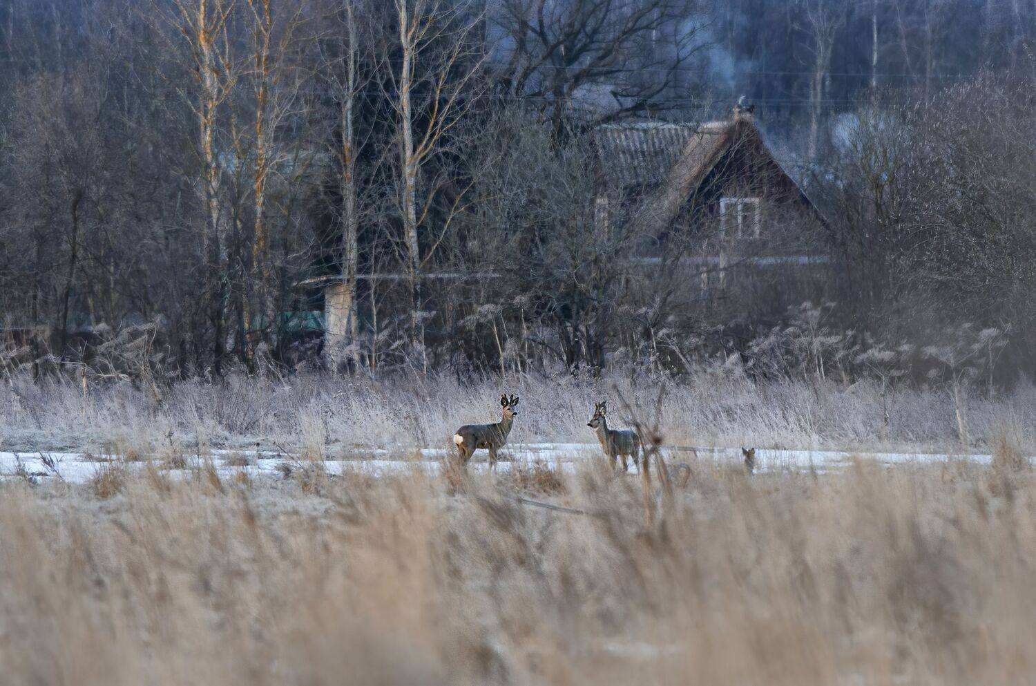 , Юрий Кулаков