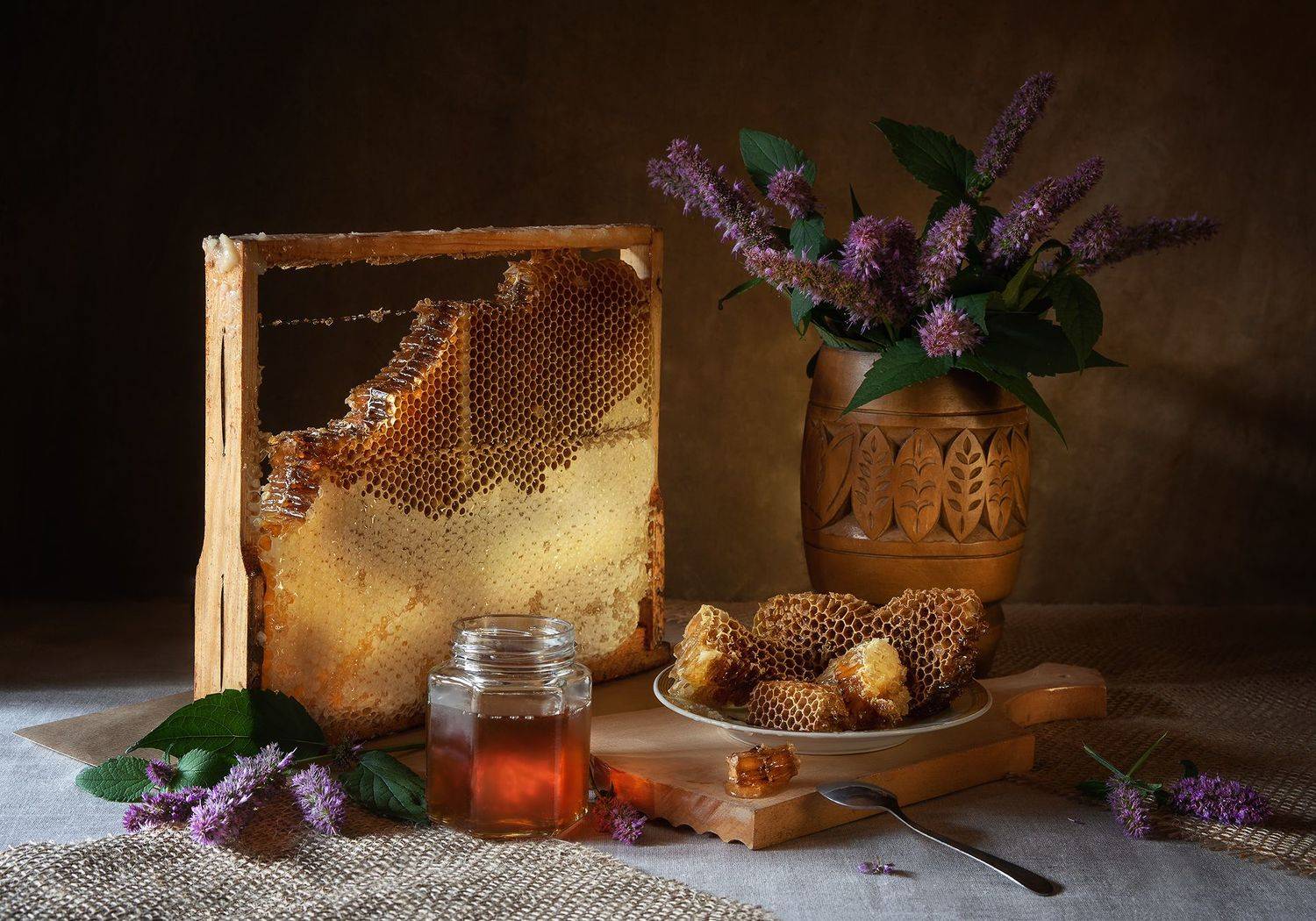 , Елена Зимацкая