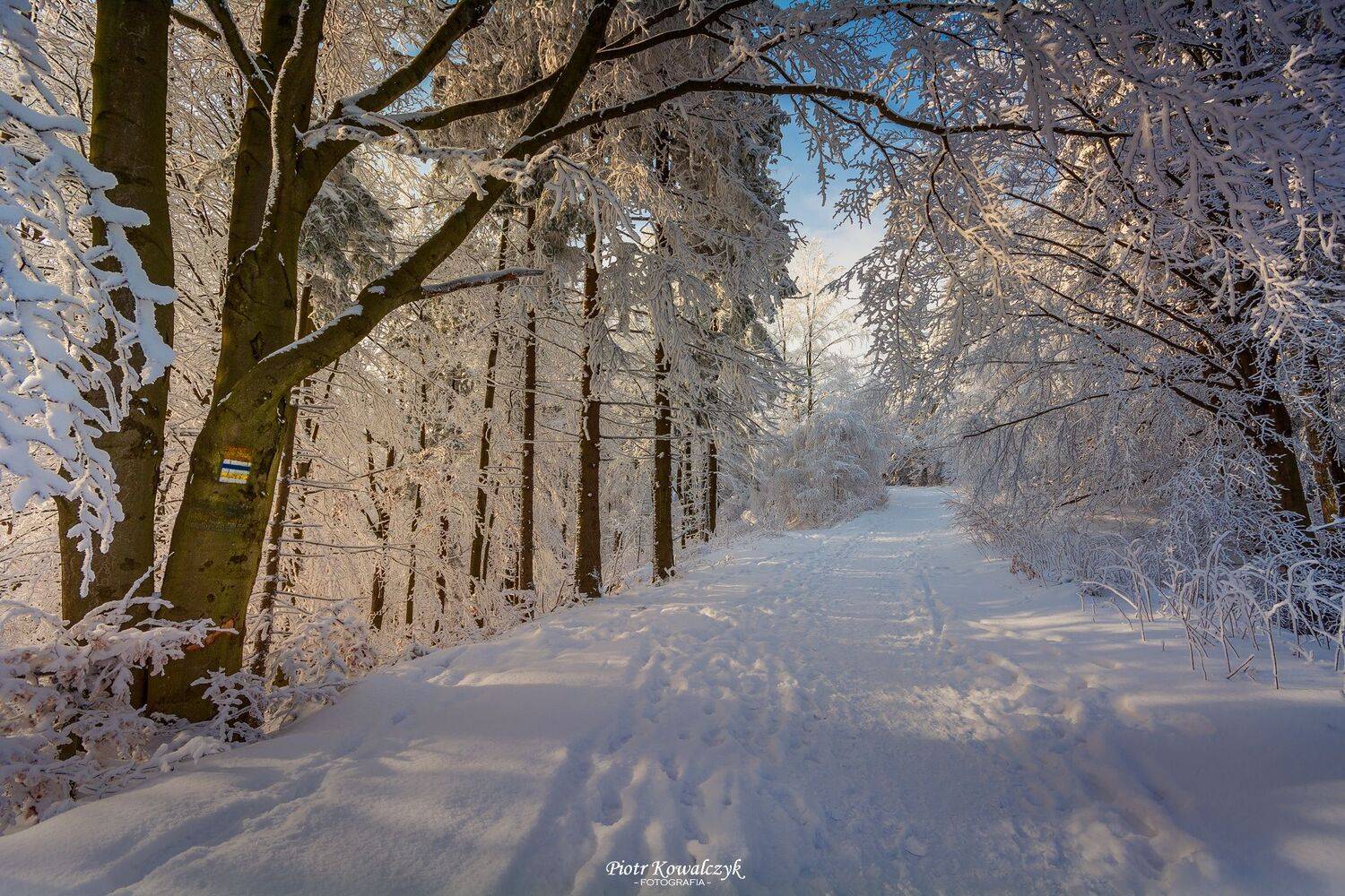 polska, zima, Kowalczyk Piotr