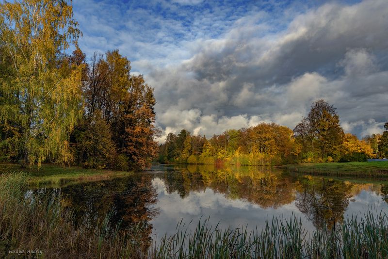 осень, парк, павловский парк, павловск, небо, облака В парке на пруду фото превью